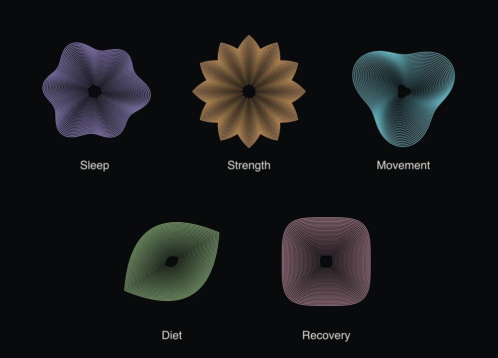 Five nested-ring shapes: lavender waves for Sleep, amber points for Strength, cyan lobes for Movement, a green leaf for Diet, and a rose cushion for Recovery.