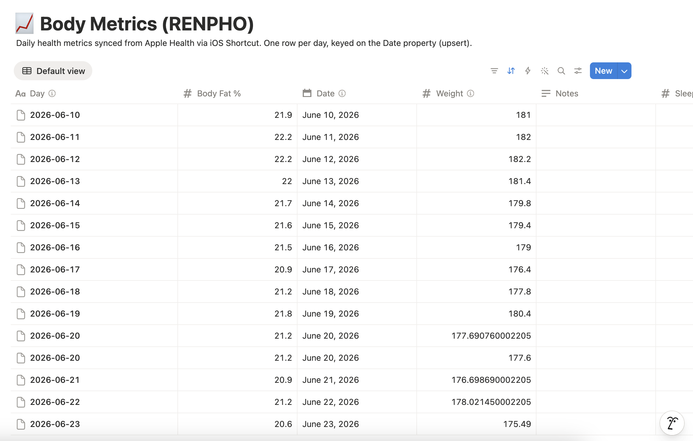 Notion Body Metrics database with one row per day, keyed on the date property